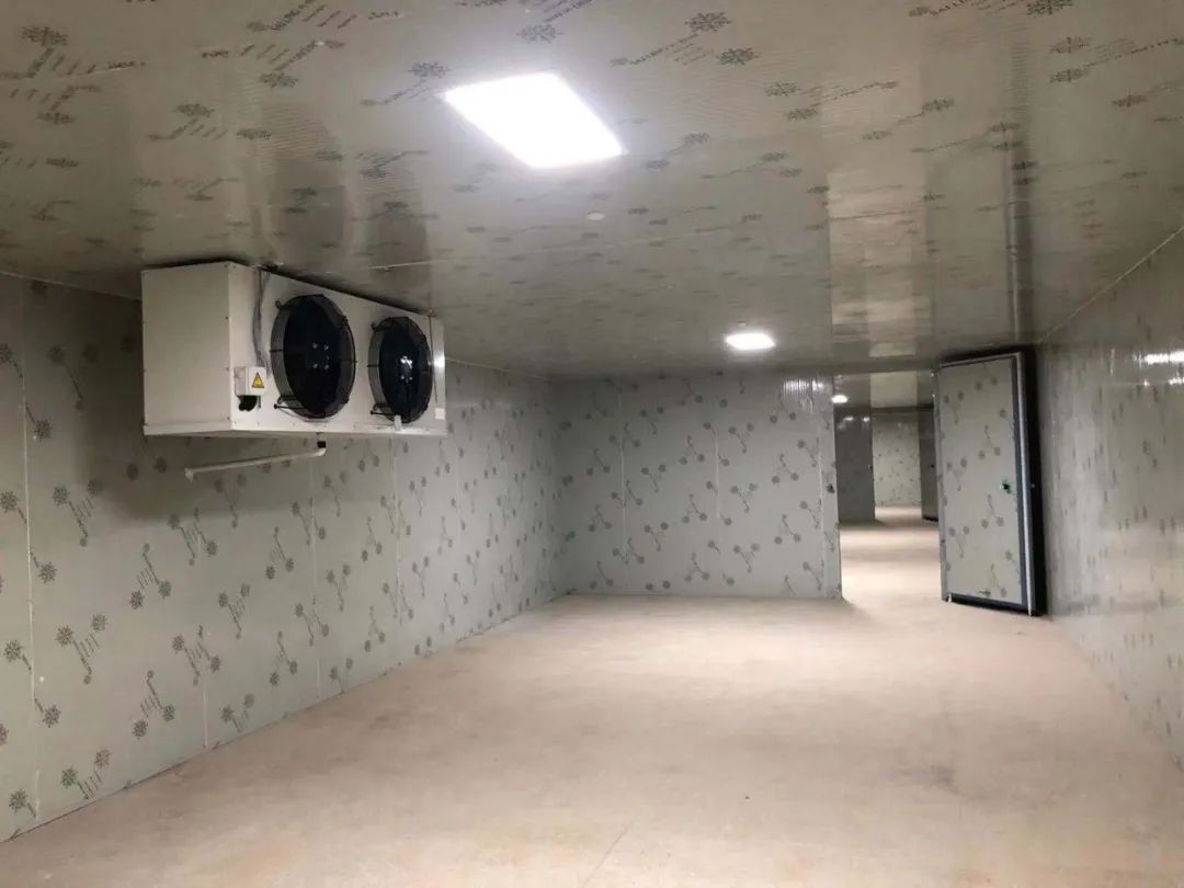 灵丘气调保鲜冷库造价